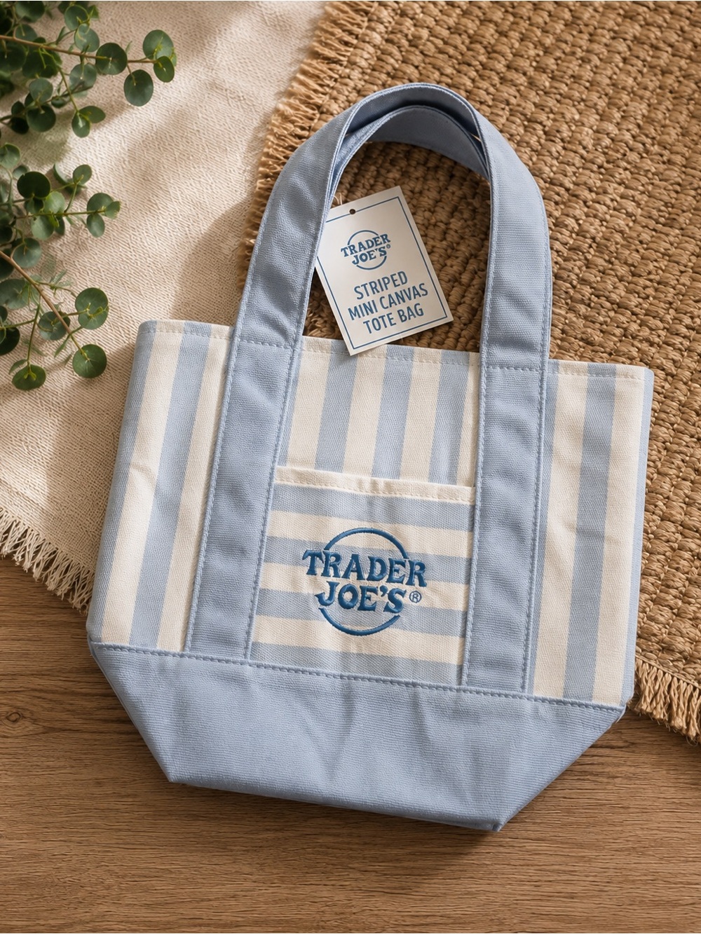 Trader Joe's Striped Mini Canvas Tote Bag in the beautiful pastel blue color.